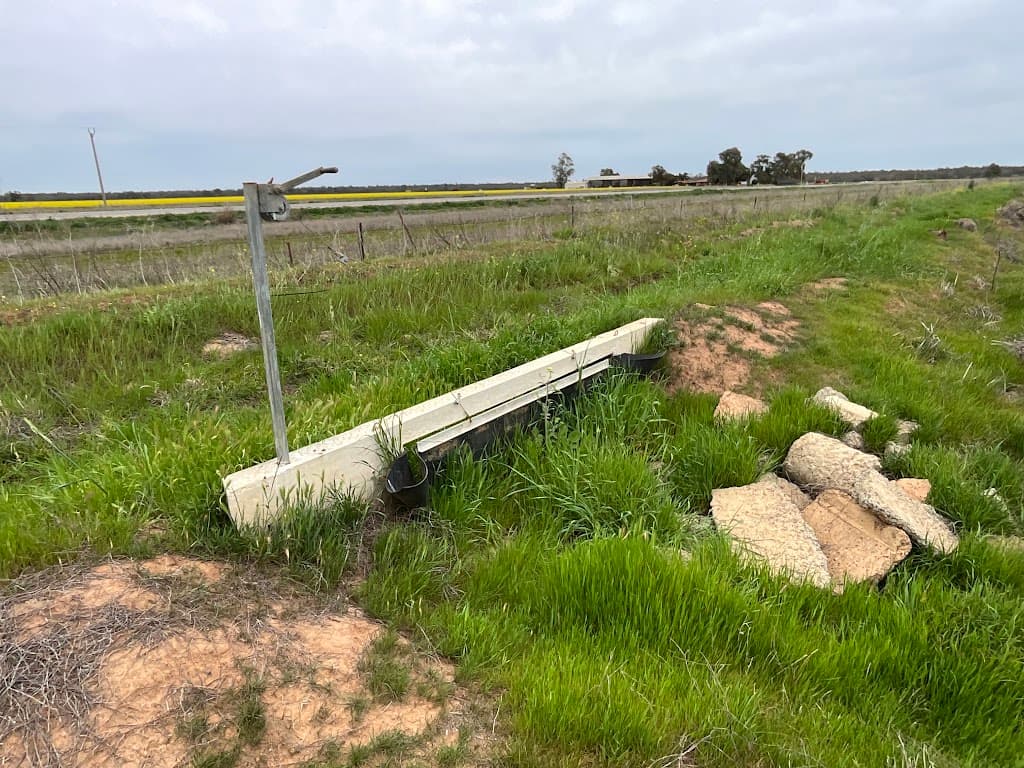 1390 Whitton Darlington Point Road, Whitton, NSW, 2705, Whitton - Thumbnail 7