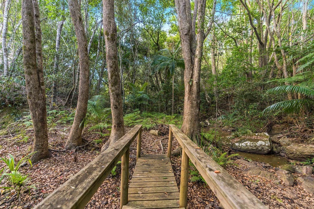 11 McCallum Place, Dum Dum, NSW, 2484, Dum Dum - Thumbnail 6
