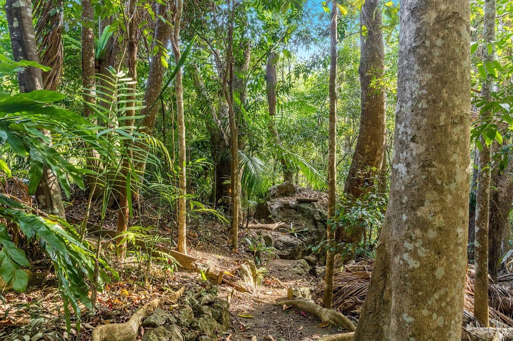 11 McCallum Place, Dum Dum, NSW, 2484, Dum Dum - Thumbnail 7