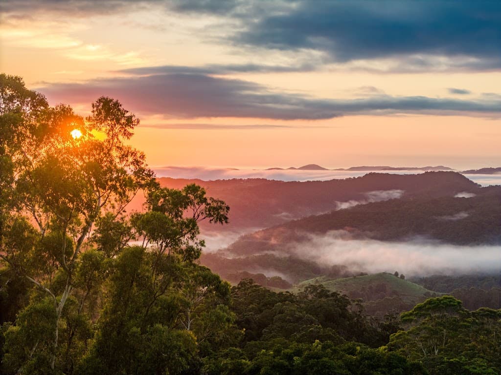 658 Glengarrie rd, Tomewin, NSW, 2484, Glengarrie - Thumbnail 2