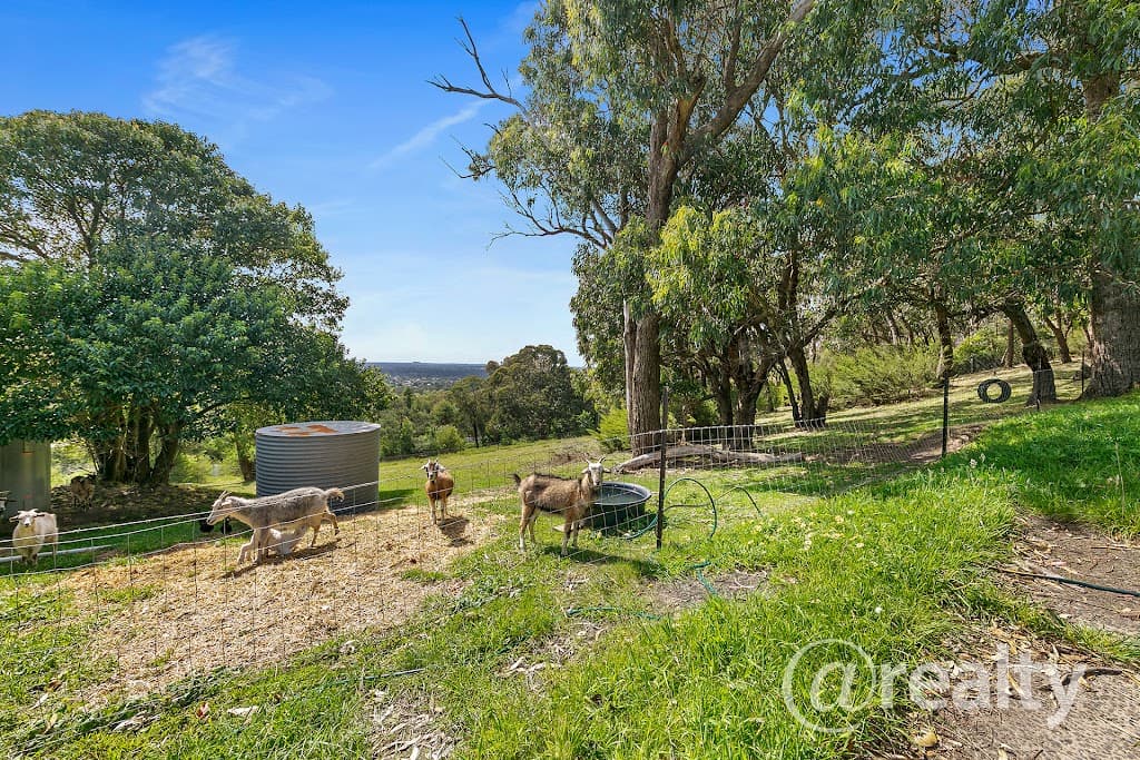 29 Summit Road, Lysterfield, VIC, 3156, Lysterfield - Thumbnail 4