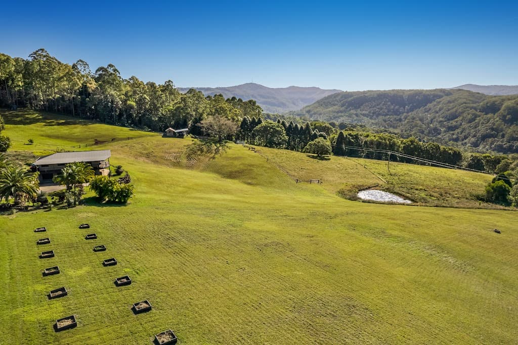 74 Rose Road, Tuntable Creek, NSW, 2480, Tuntable Creek - Thumbnail 4
