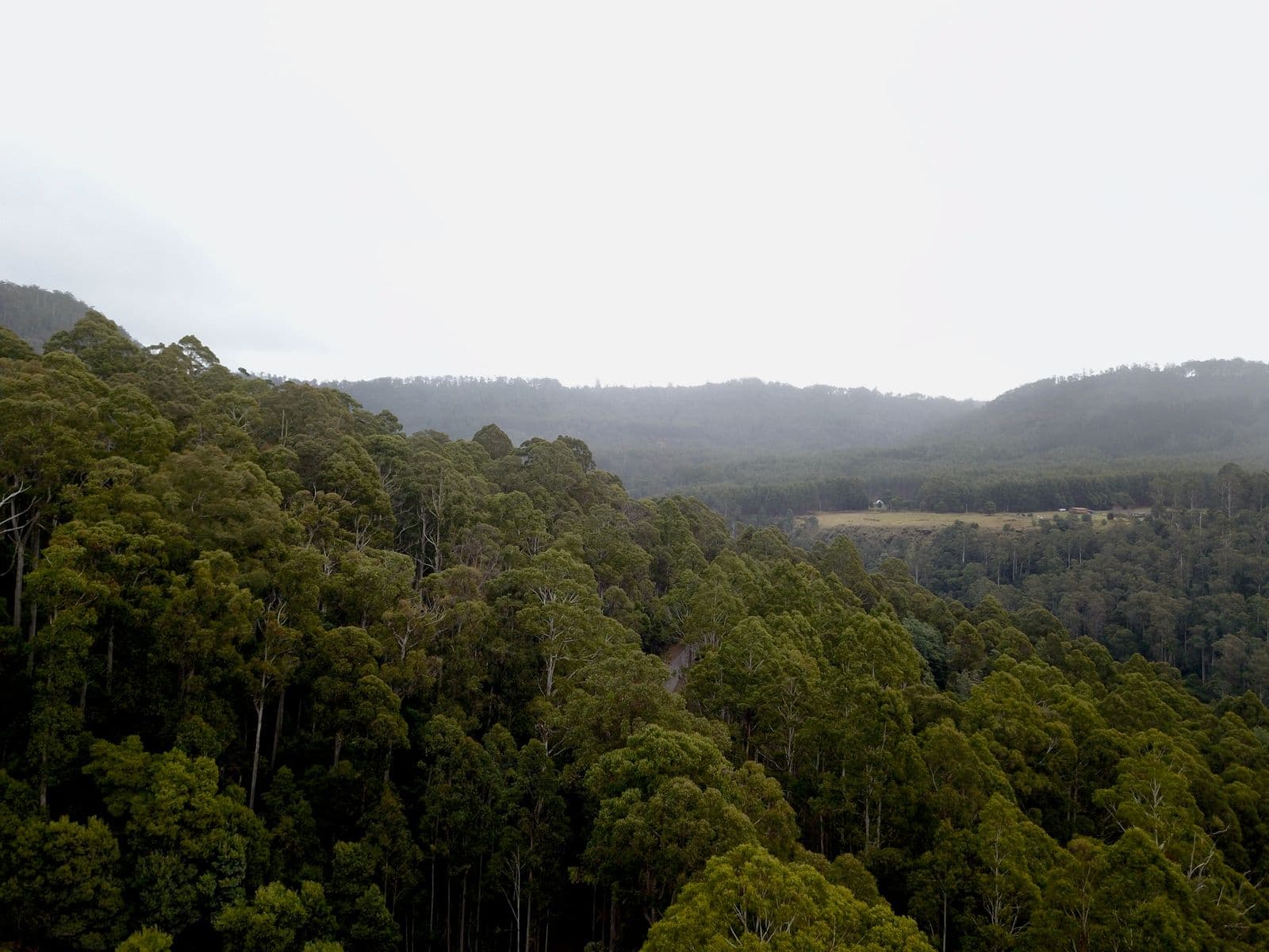 400 Olivers Road, Liena TAS 7304, Liena - Thumbnail 2