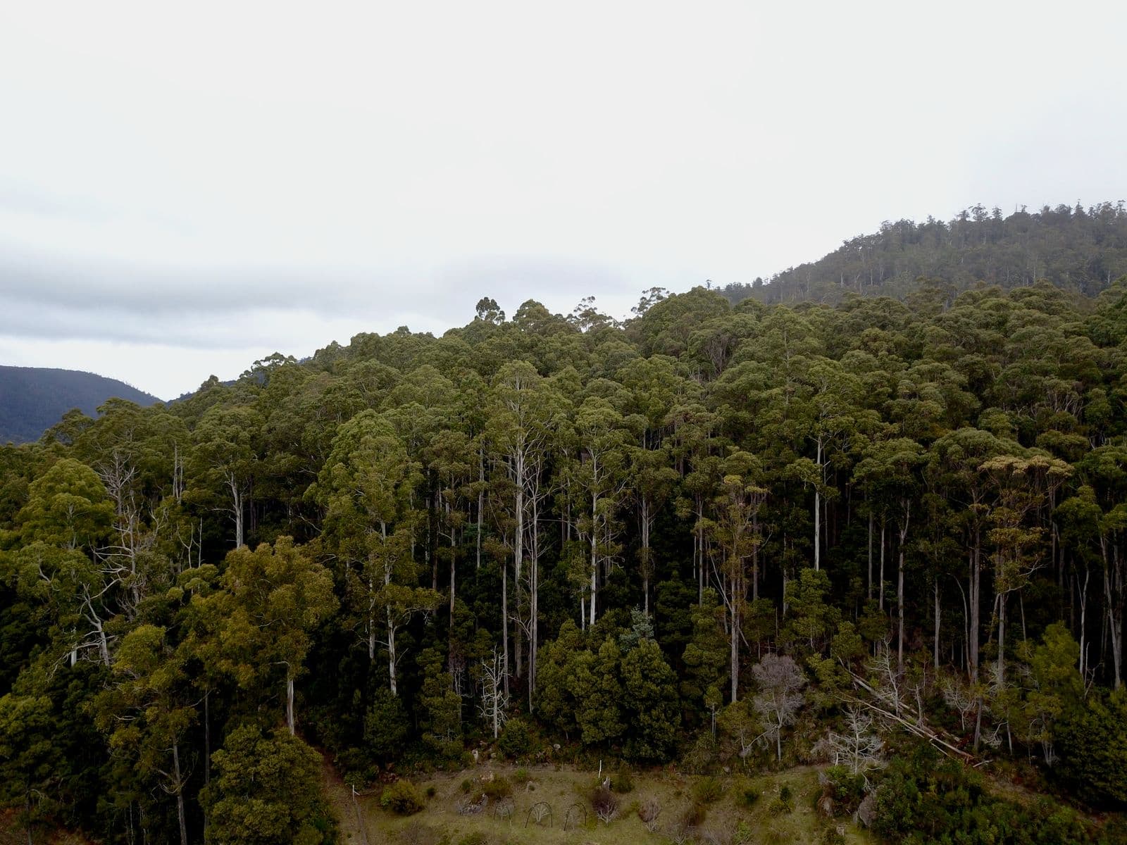 400 Olivers Road, Liena TAS 7304, Liena - Thumbnail 3