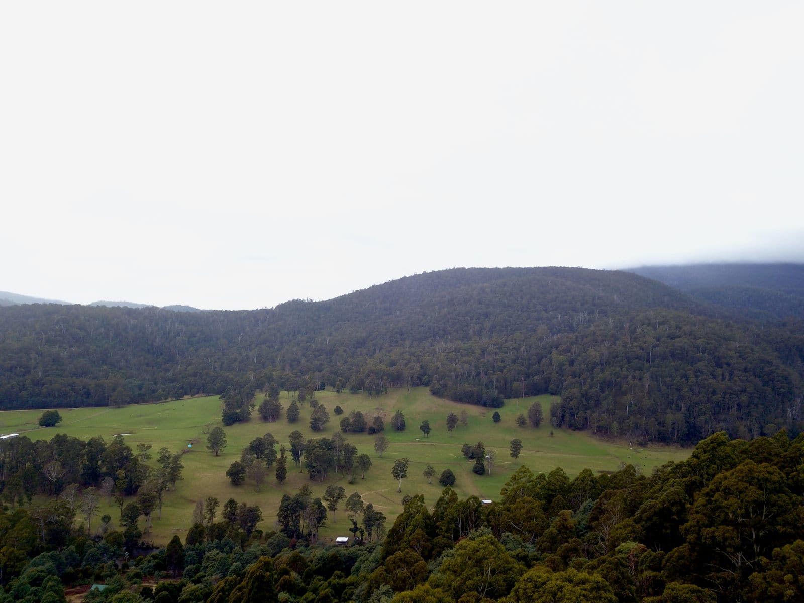 400 Olivers Road, Liena TAS 7304, Liena - Thumbnail 5