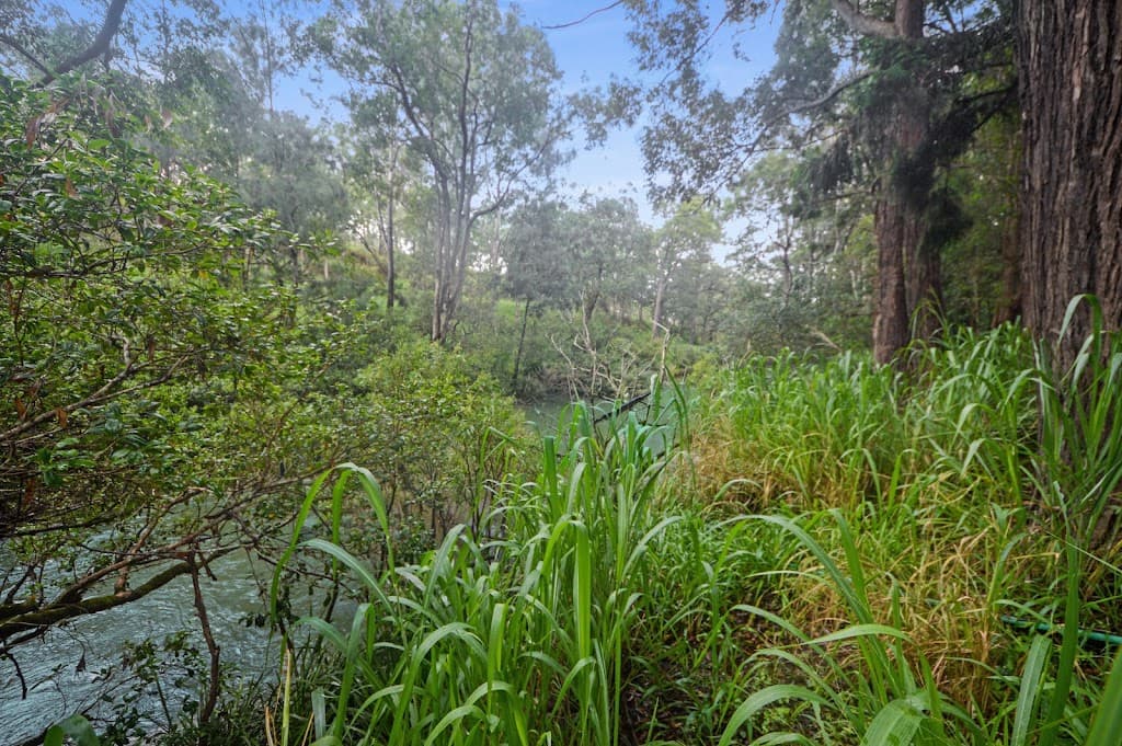 1888 Tumoulin Road, Ravenshoe, QLD, 4888, Ravenshoe - Thumbnail 3