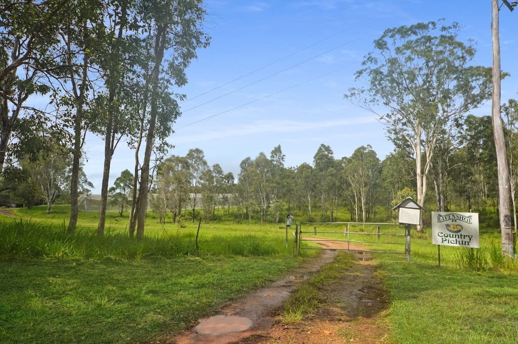 1888 Tumoulin Road, Ravenshoe, QLD, 4888, Ravenshoe - Thumbnail 5