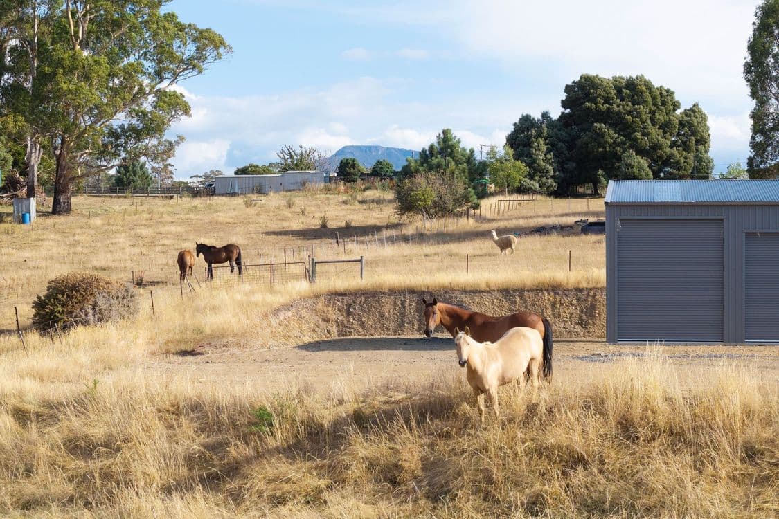 121 Davis Road, DELORAINE, TAS 7304, Deloraine - Image 1