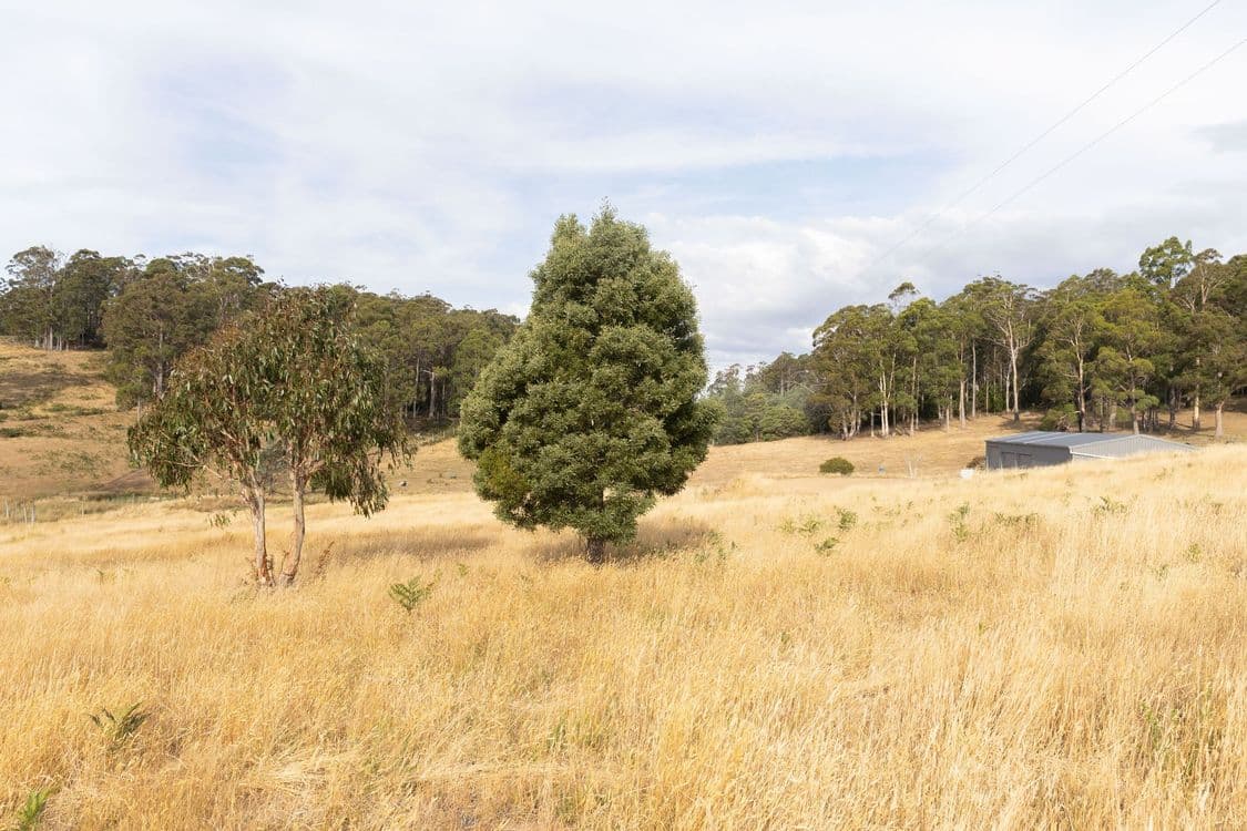 121 Davis Road, DELORAINE, TAS 7304, Deloraine - Thumbnail 8