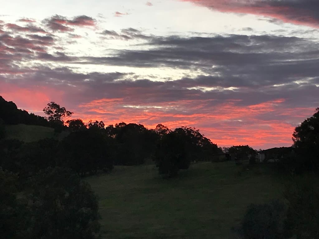 29 Mount Ernest Crescent, Murwillumbah, NSW, 2484, Murwillumbah - Thumbnail 6