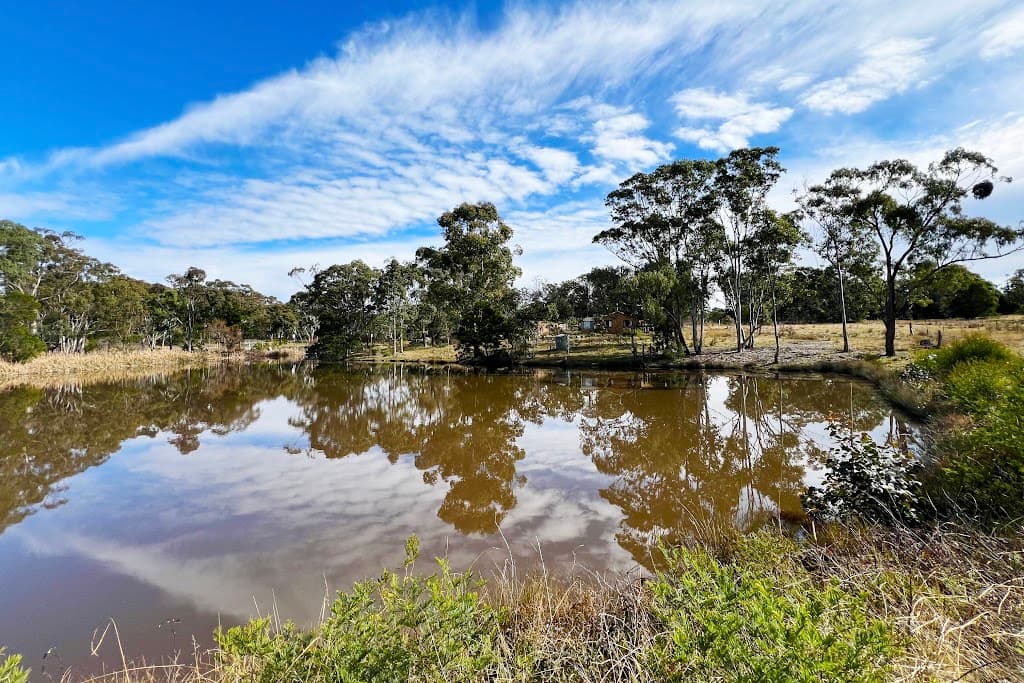 13 Marulan Creek Road, Marulan, NSW, 2579, Marulan - Thumbnail 8