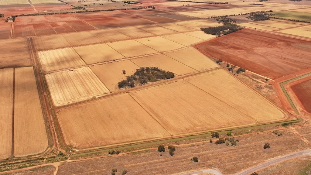 141 Gogeldrie Road, Gogeldrie, NSW, 2705, Gogeldrie - Thumbnail 4
