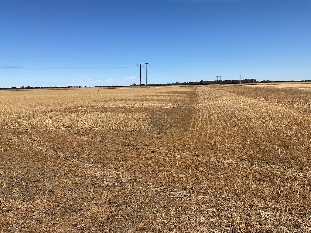 141 Gogeldrie Road, Gogeldrie, NSW, 2705, Gogeldrie - Thumbnail 8