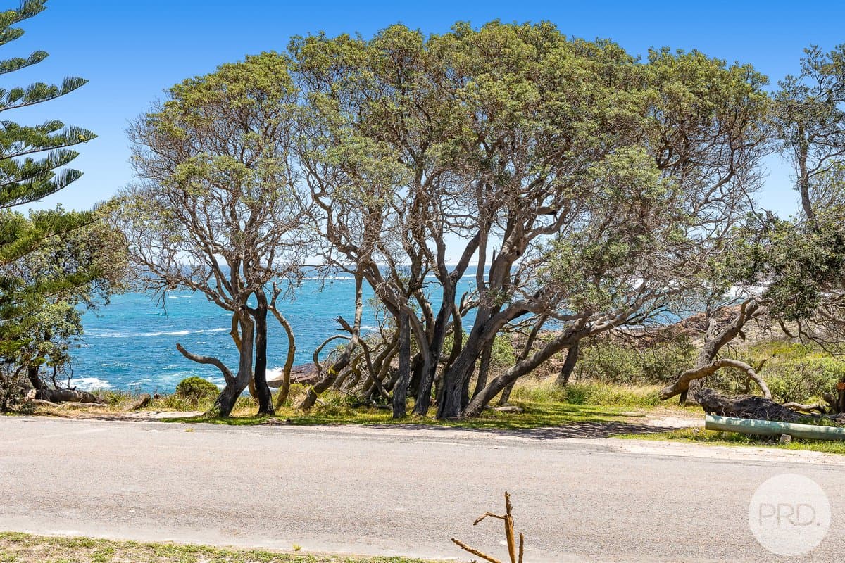 18 Noamunga Street, BOAT HARBOUR NSW 2316, Boat Harbour - Thumbnail 2
