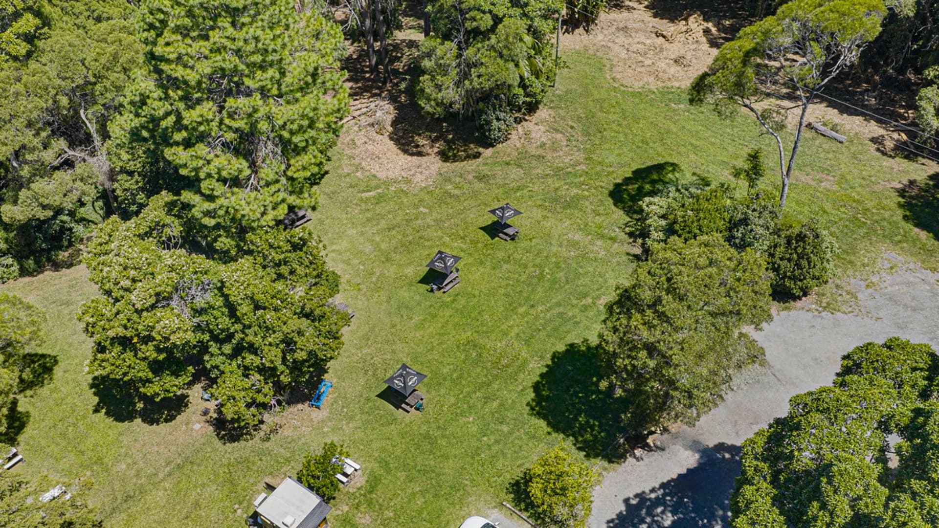 3 Lyrebird Ridge Road, Springbrook, Springbrook - Thumbnail 3