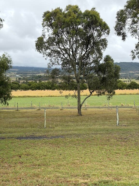 479 Hodgson Vale Road, Hodgson Vale, QLD, 4352, Hodgson Vale - Thumbnail 3