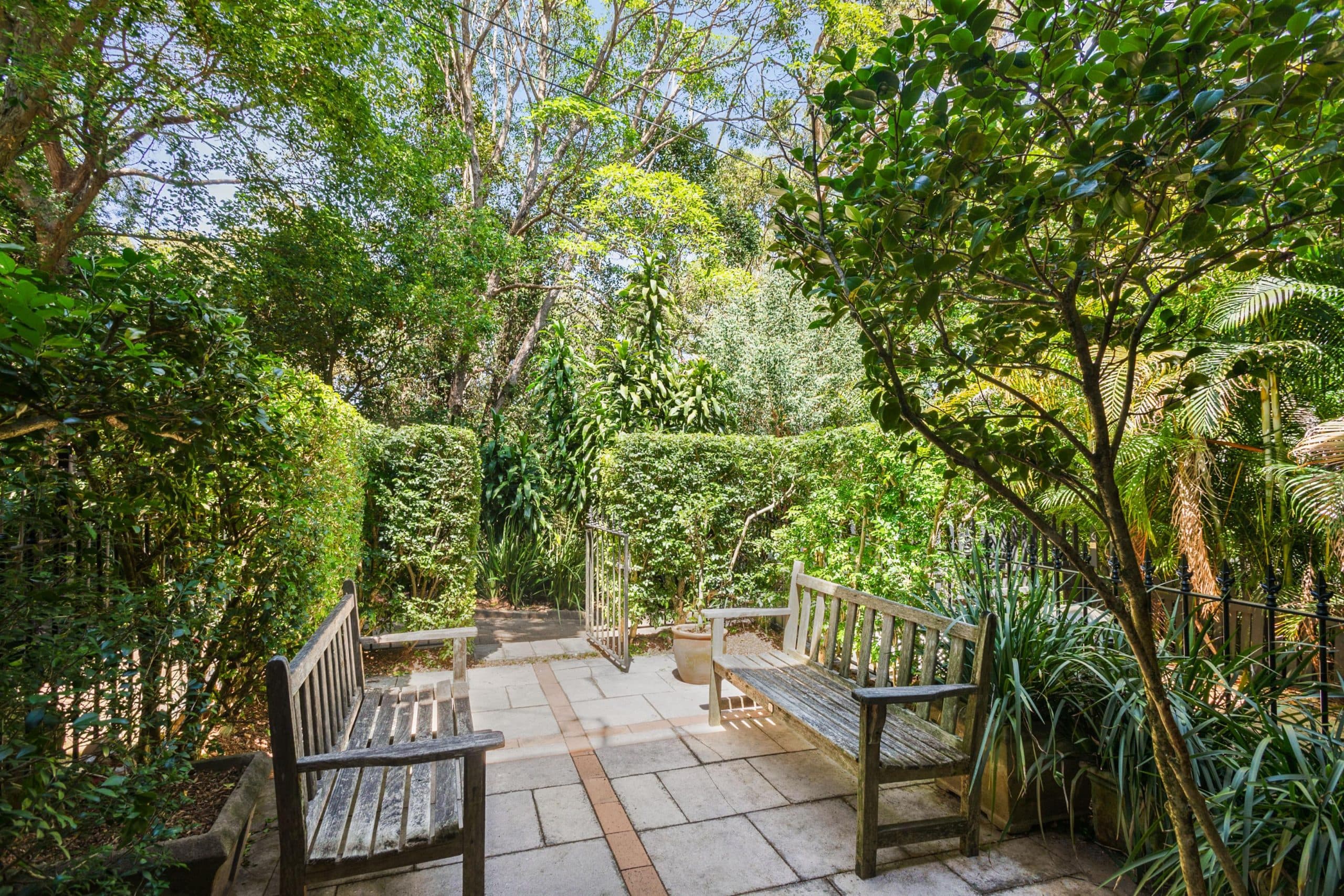 17 Bowes Avenue, Edgecliff - Thumbnail 2
