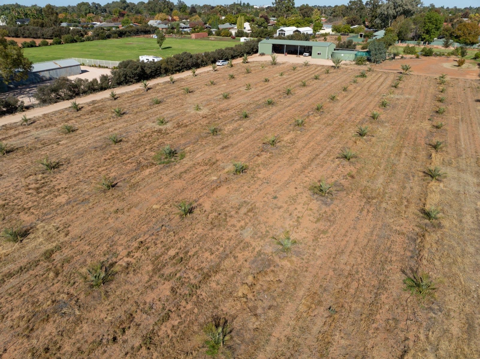 32 Rural Drive, Mildura - Thumbnail 3