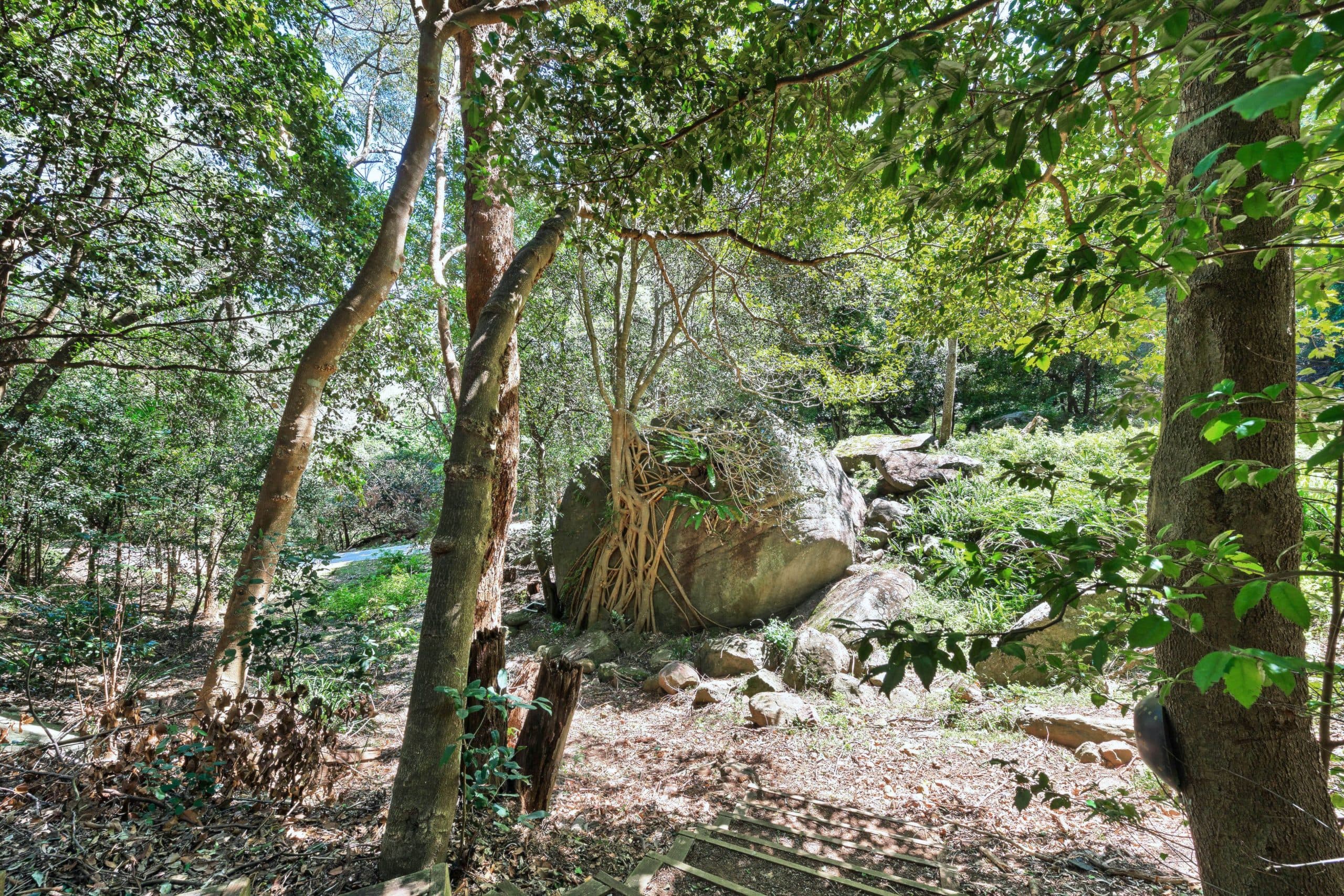 65 - 67 Morandoo Avenue, Mount Keira - Thumbnail 2