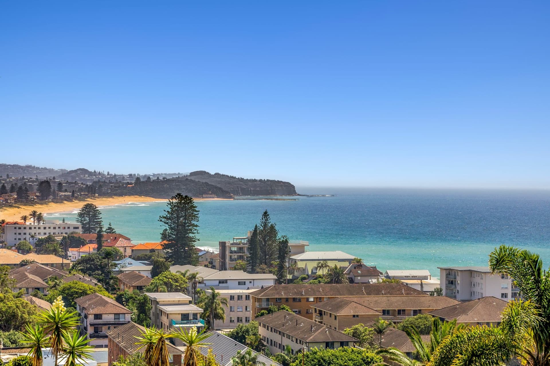 29 Jenkins Street, Collaroy, Collaroy - Thumbnail 4