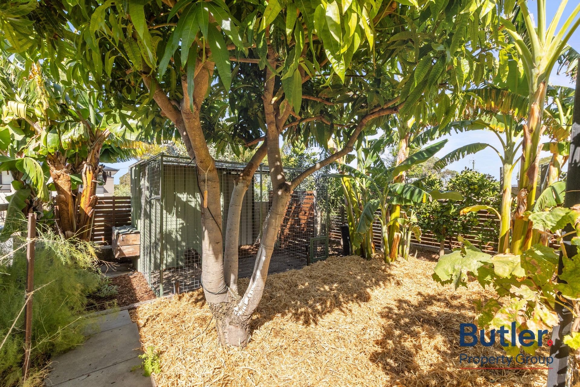 55a Katanning Street, BAYSWATER WA 6053, Bayswater - Thumbnail 2