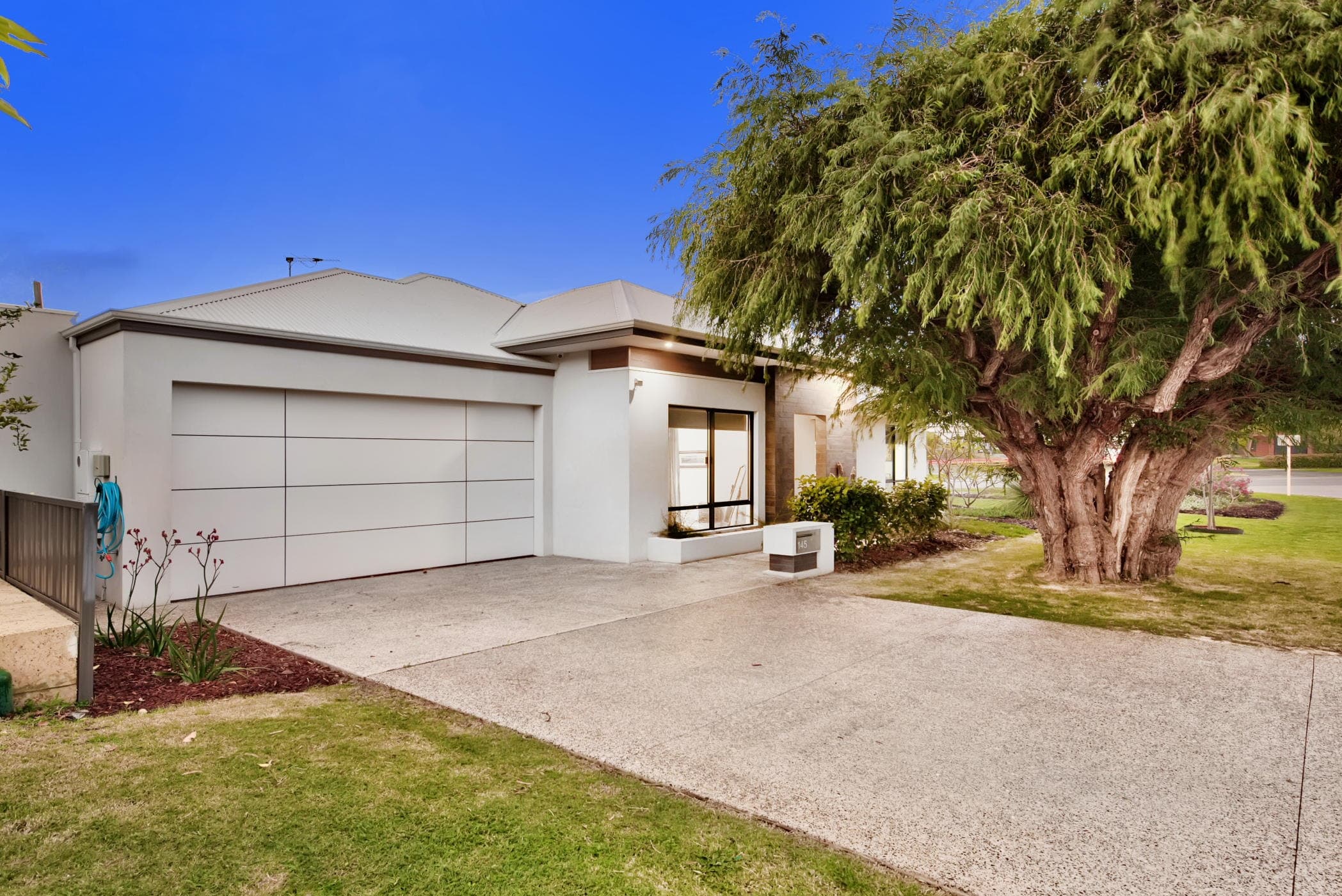 145 Shakespeare Avenue, YOKINE WA 6060, Yokine - Thumbnail 3
