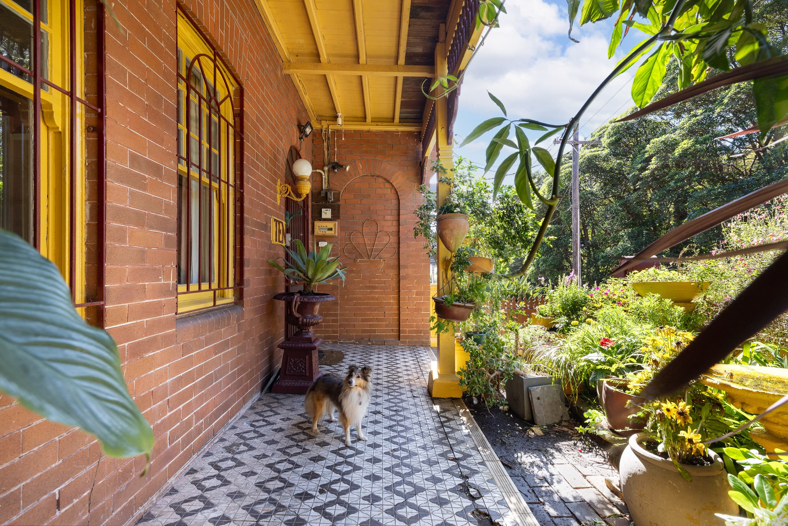 10 White Street, Balmain - Thumbnail 3