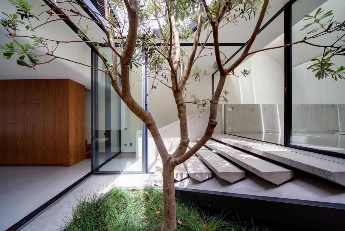 16 Fitzroy Avenue, Balmain - Thumbnail 4