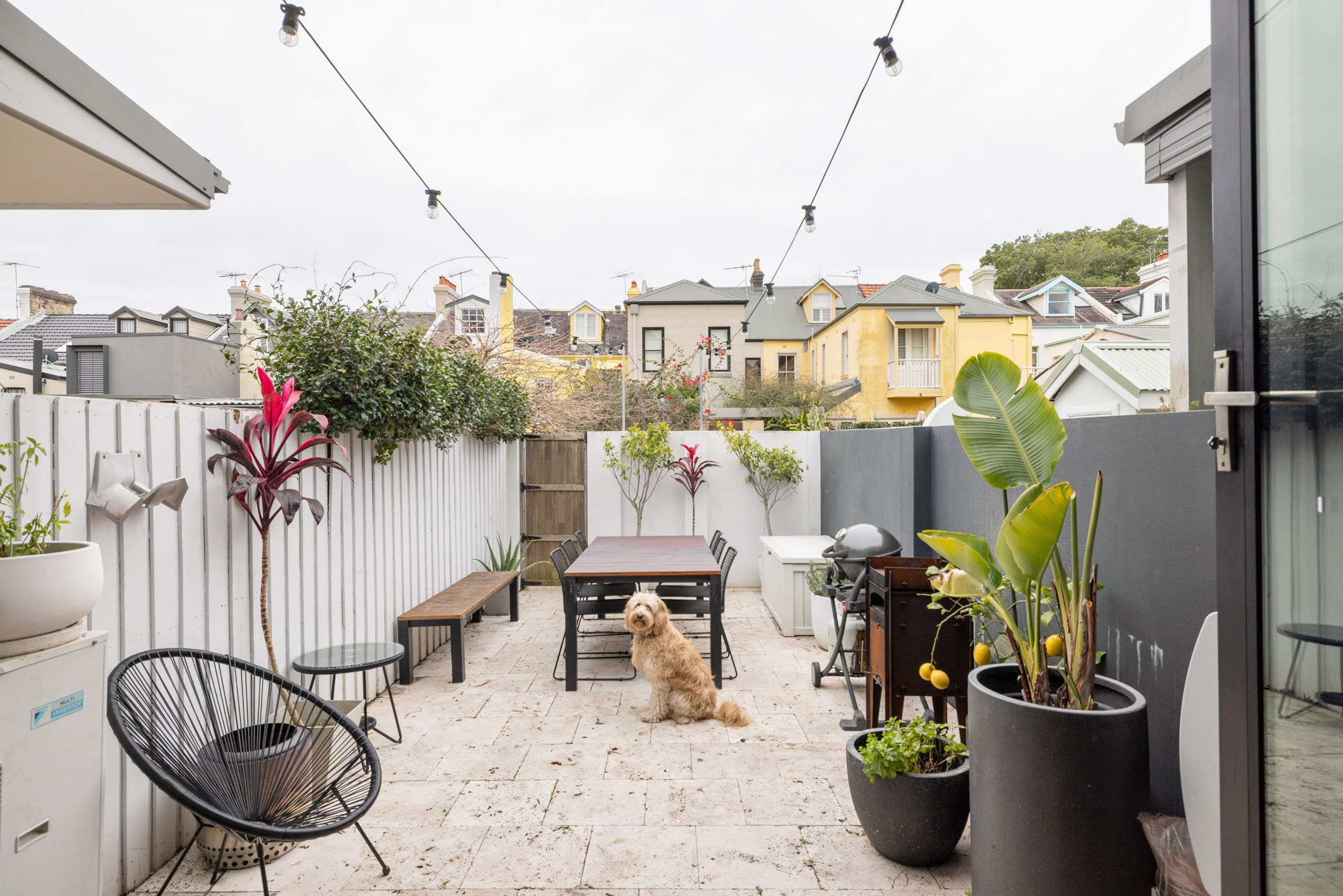 22 Dudley Street, Paddington - Thumbnail 5