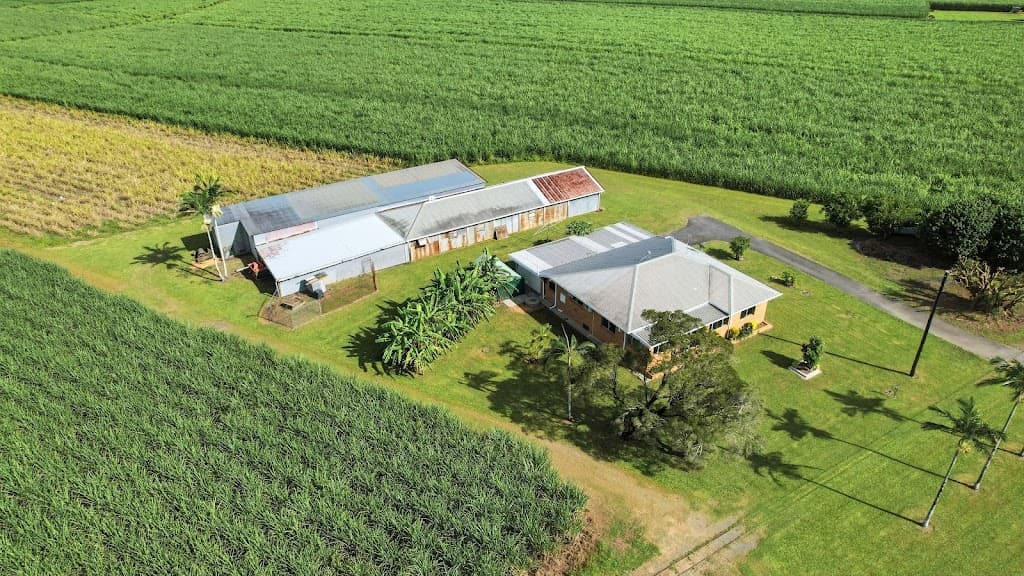 Lot 66 Crossland Road, Gordonvale, QLD, 4865, Gordonvale - Thumbnail 6