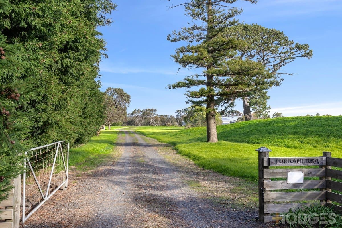 300-320 Murradoc Road, Drysdale, VIC, 3222, Drysdale - Thumbnail 4