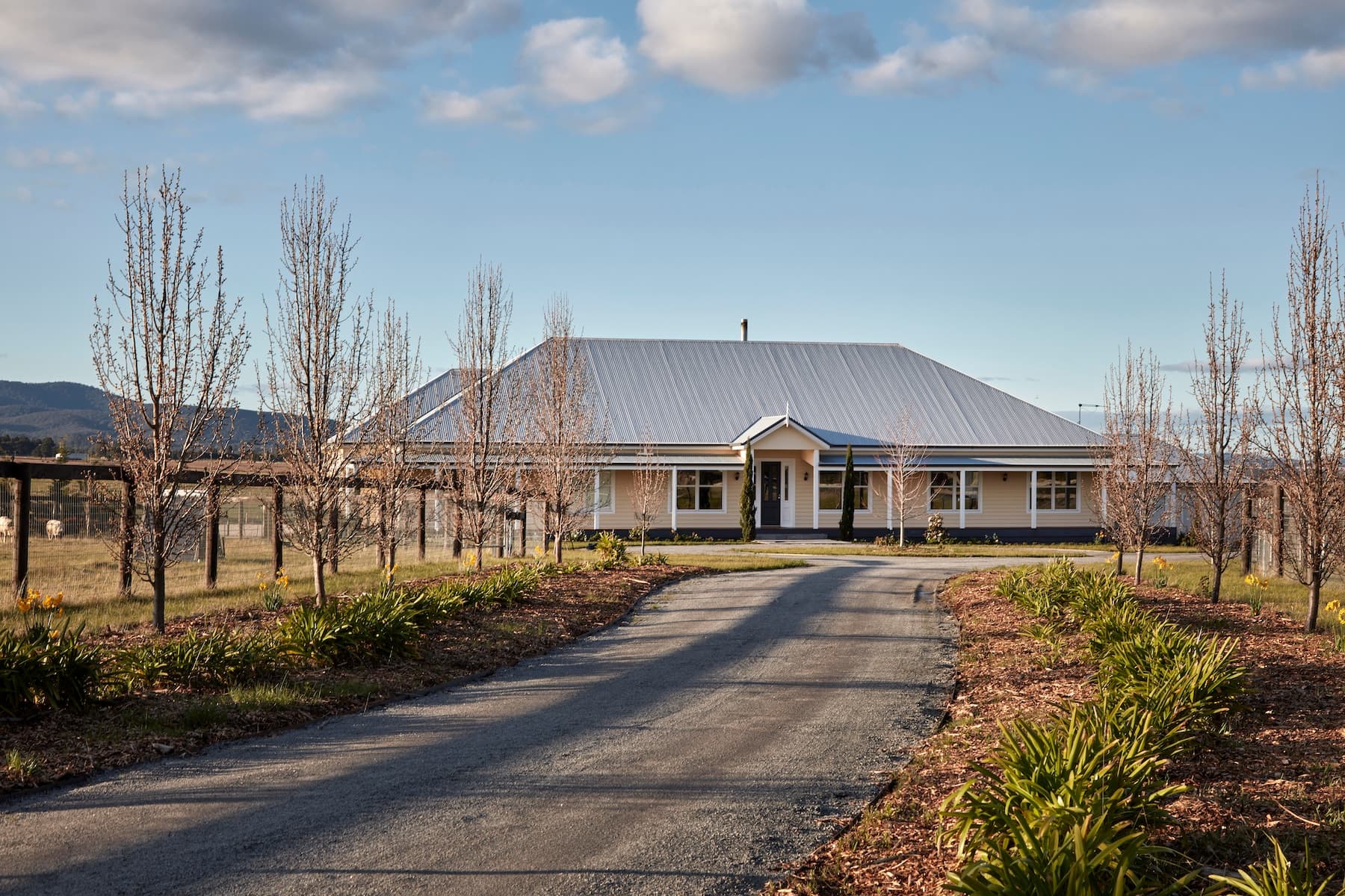 2/11-15 Norman Street, Concord, 2137, Riddells Creek - Thumbnail 3