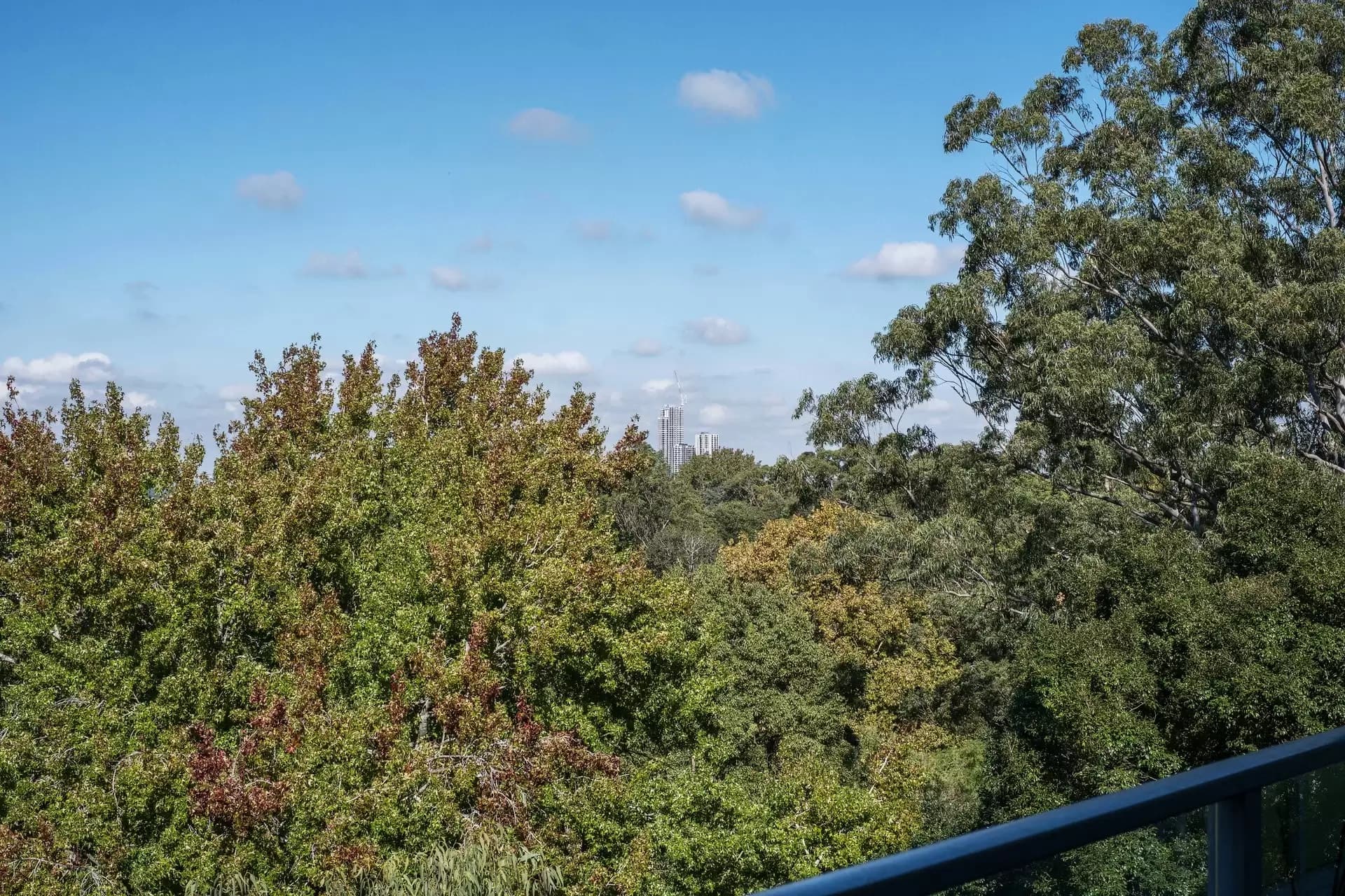 13/178 Hampden Road, Abbotsford, 2046, Gordon - Thumbnail 7