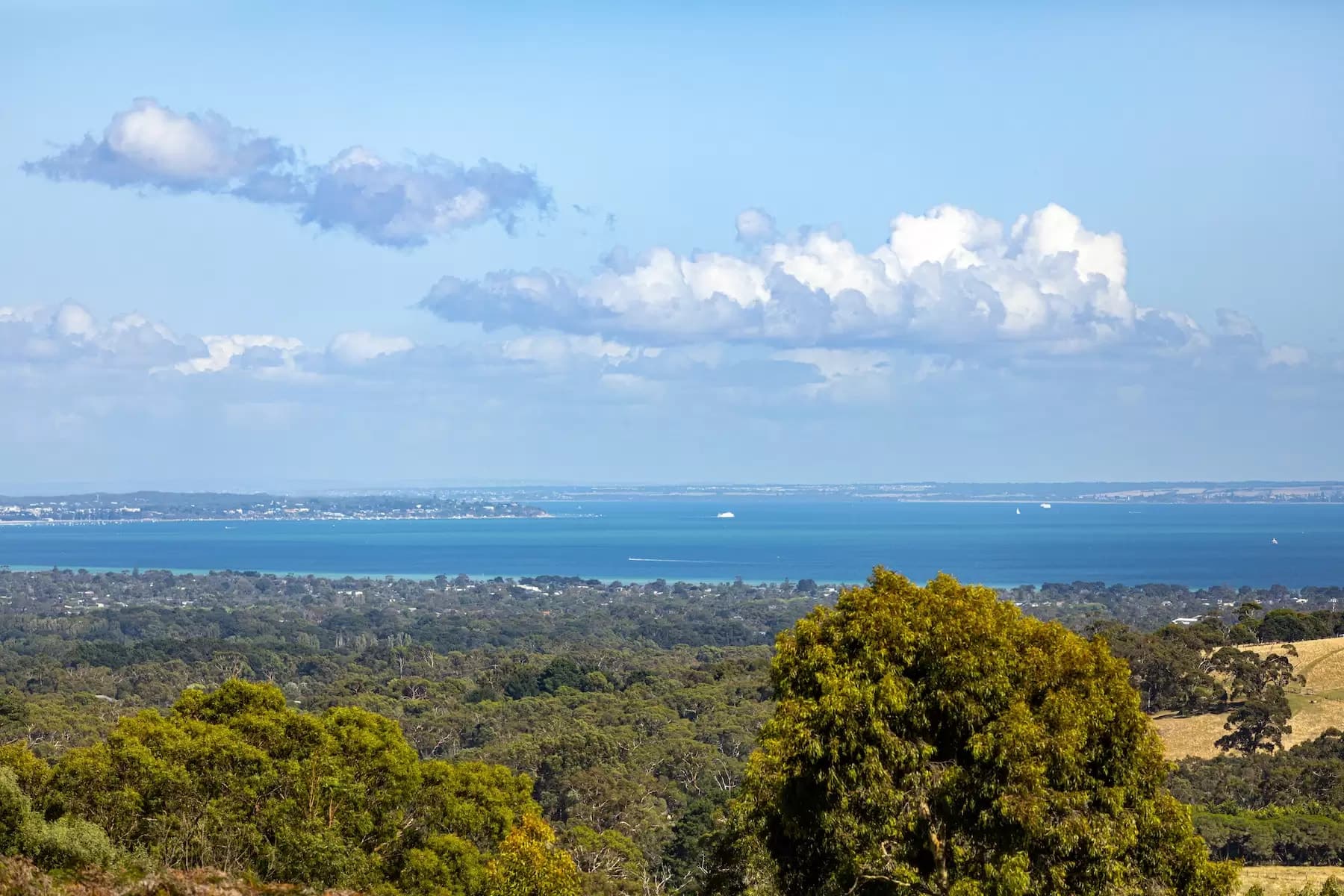 Unit 2, 13 Kurrajong Court, Benalla VIC, Main Ridge - Thumbnail 2