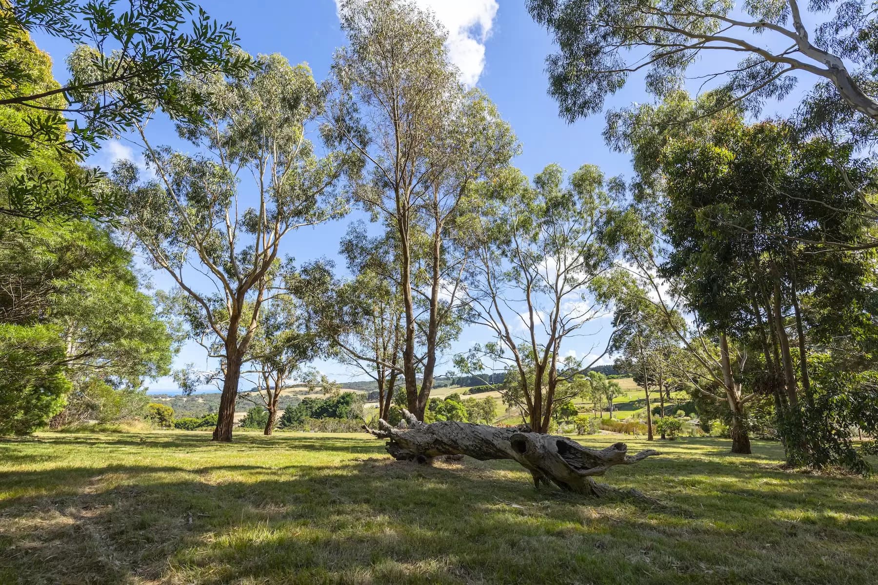 Unit 2, 13 Kurrajong Court, Benalla VIC, Main Ridge - Thumbnail 8
