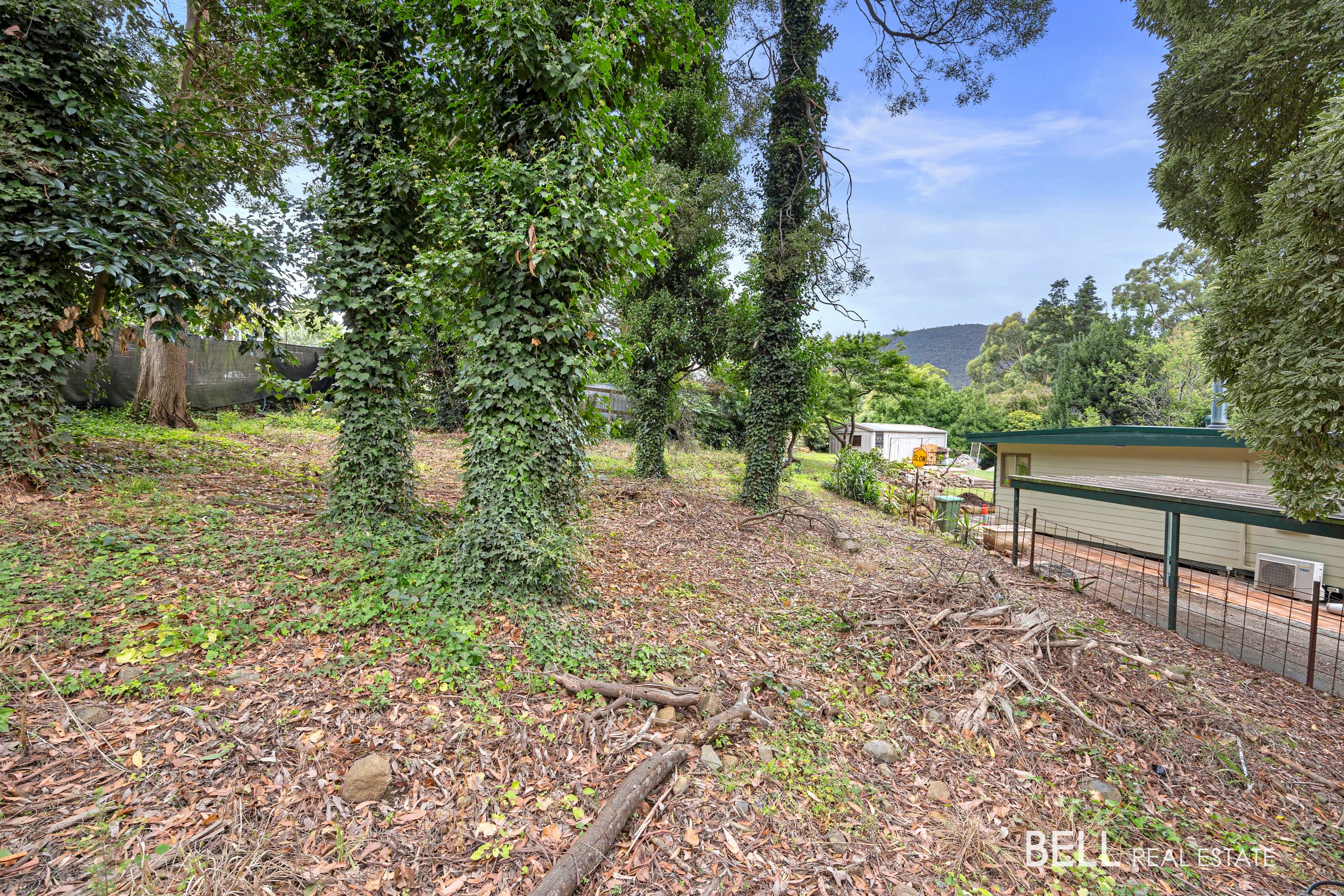 53 Wonga Road, MILLGROVE, Millgrove - Thumbnail 5
