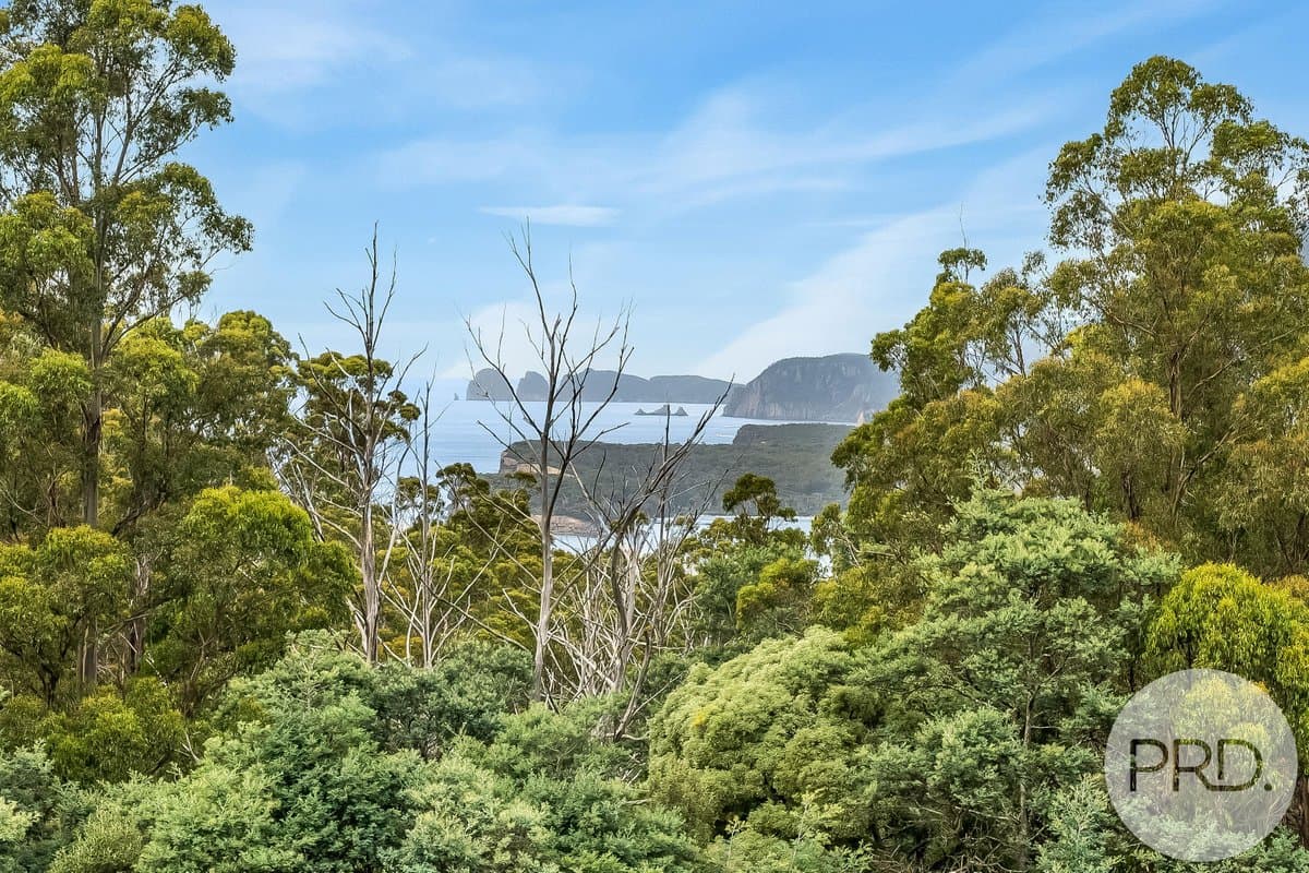 4796 Arthur Highway, EAGLEHAWK NECK TAS 7179, Eaglehawk Neck - Thumbnail 2