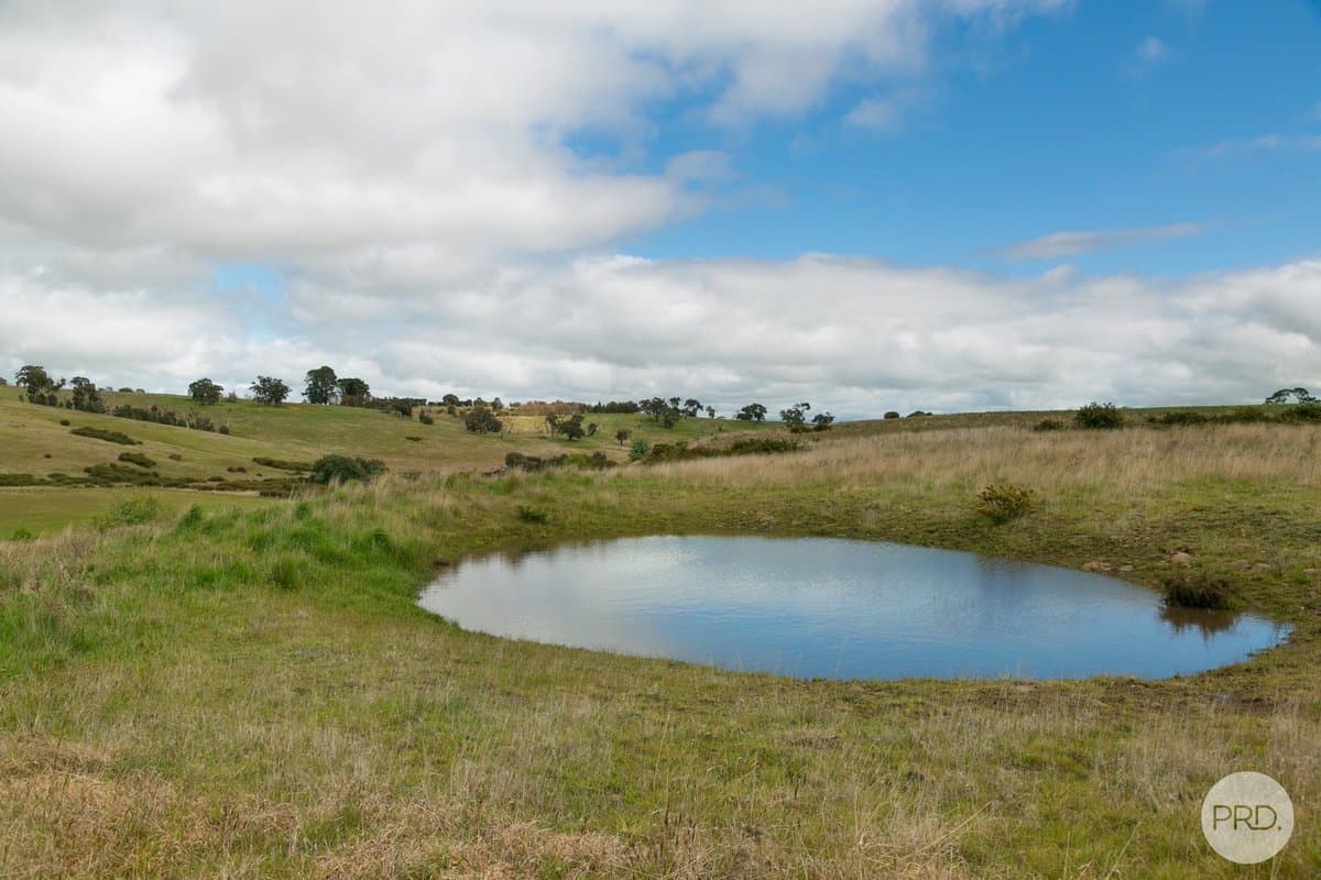 Lot 1 Bushes Lane, CARNGHAM VIC 3351, Carngham Property Image - Thumbnail 5