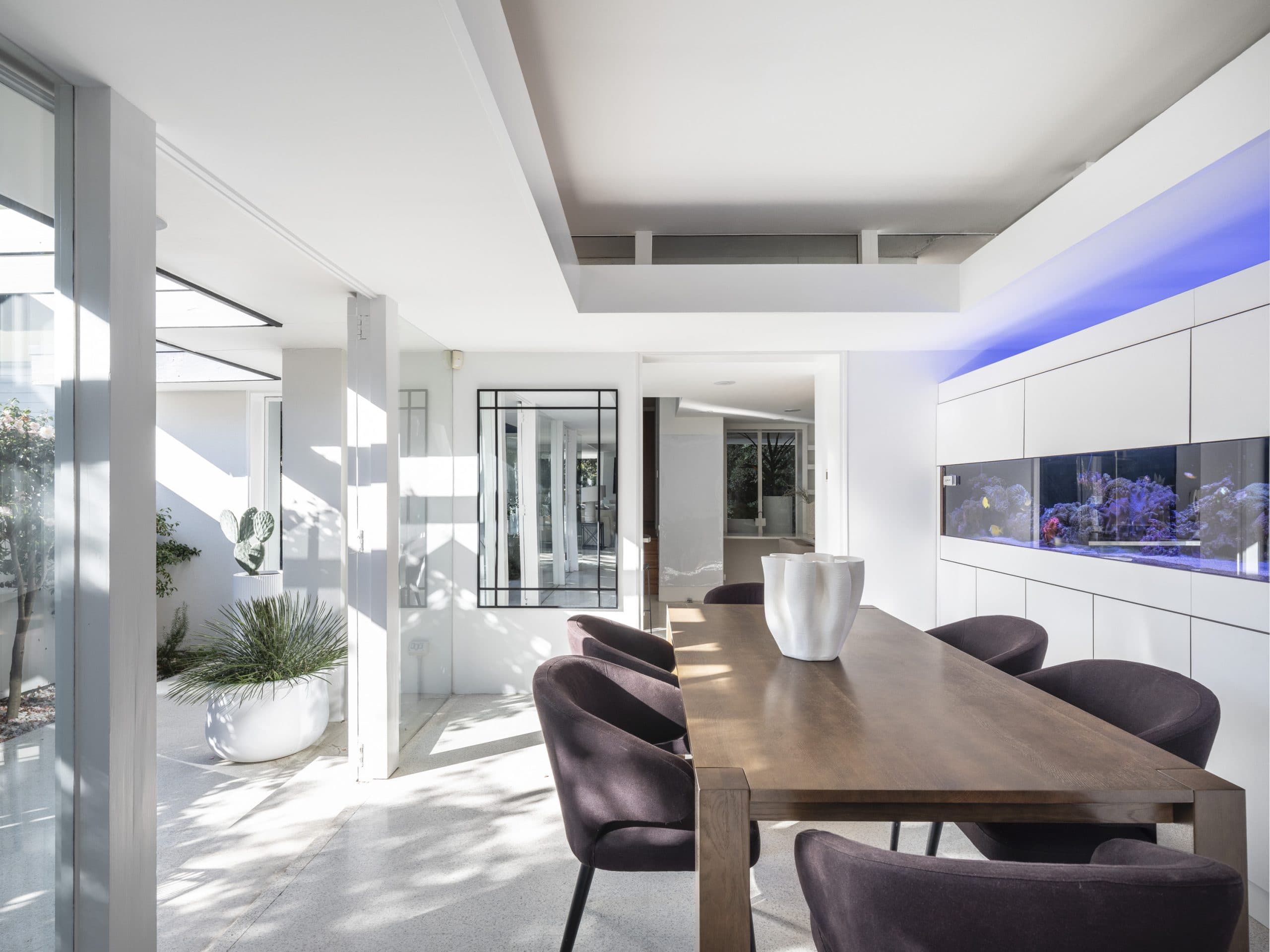 4 Figtree Lane, Woollahra - Thumbnail 7