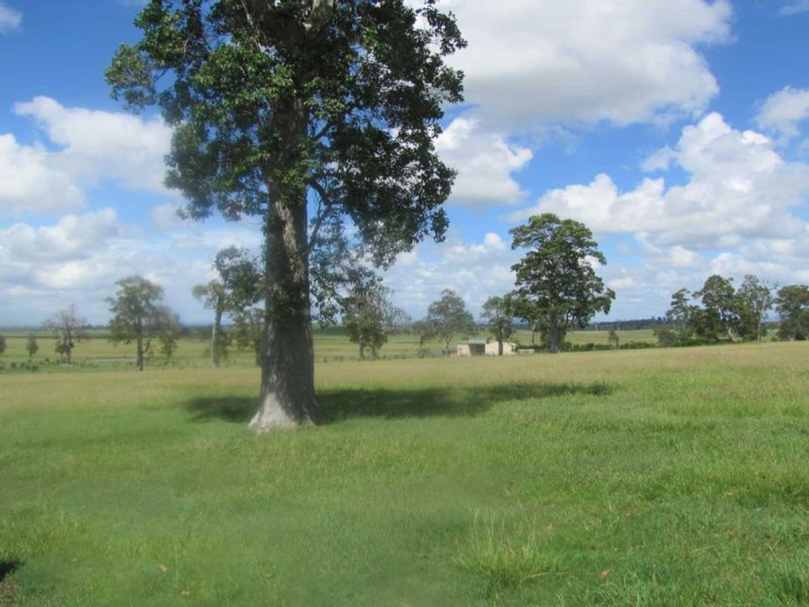 Lot 22 Lot 22 Flatley Drive, North Casino - Thumbnail 8
