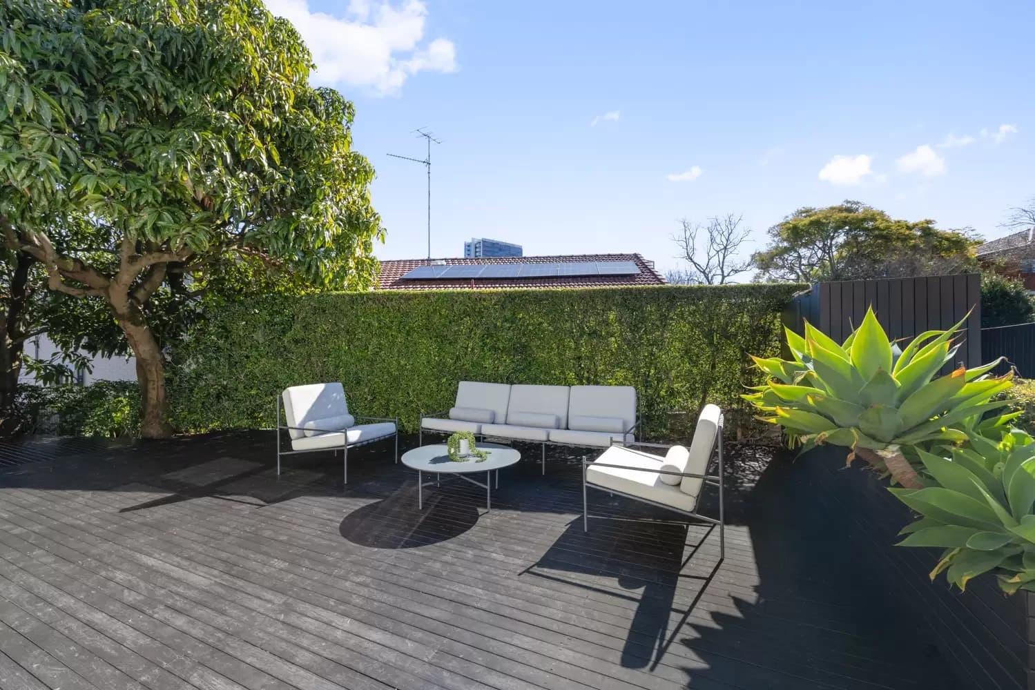 16 Milroy Avenue, Kensington, Kensington - Thumbnail 3