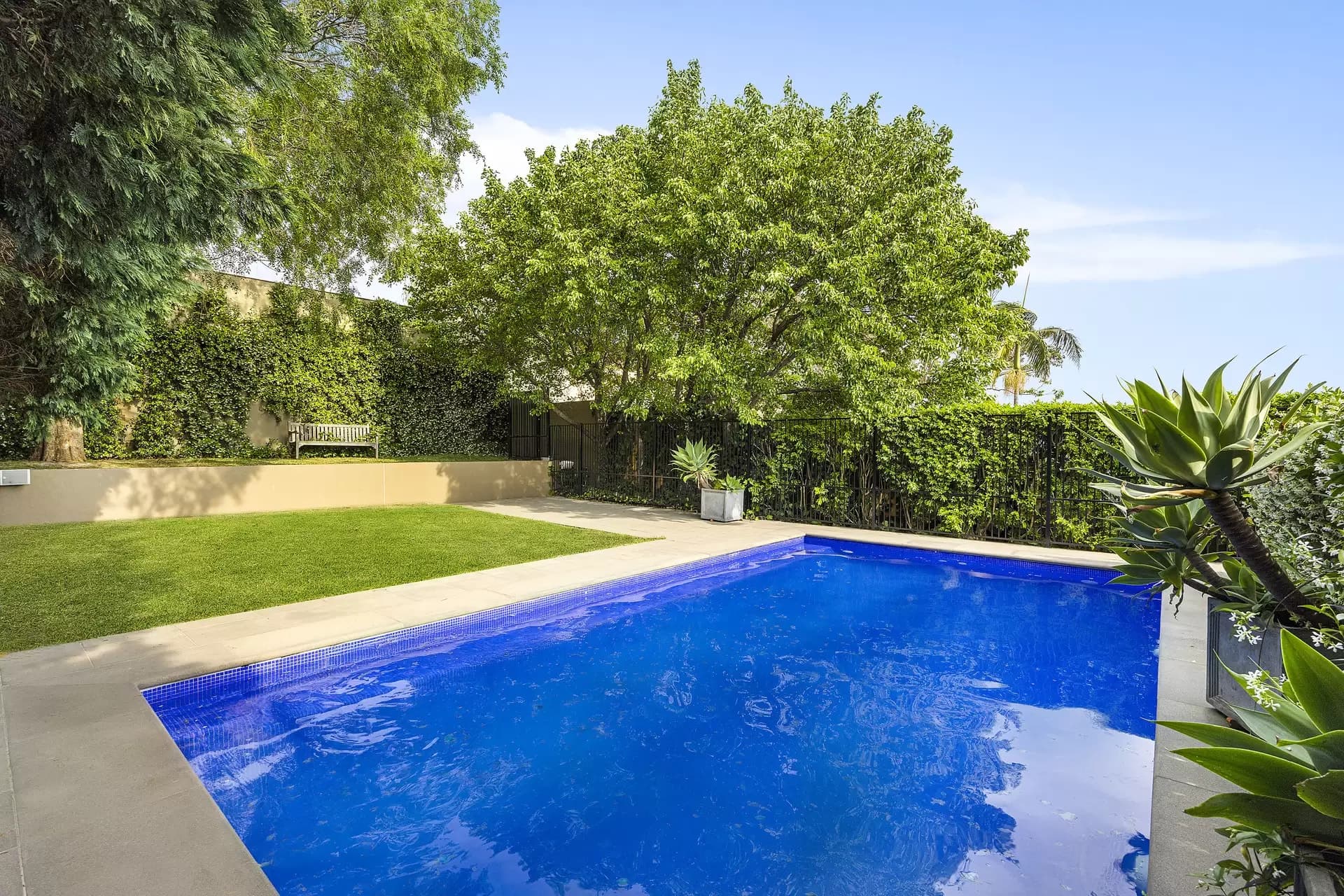 65 Brook Street, Coogee, Coogee - Thumbnail 2