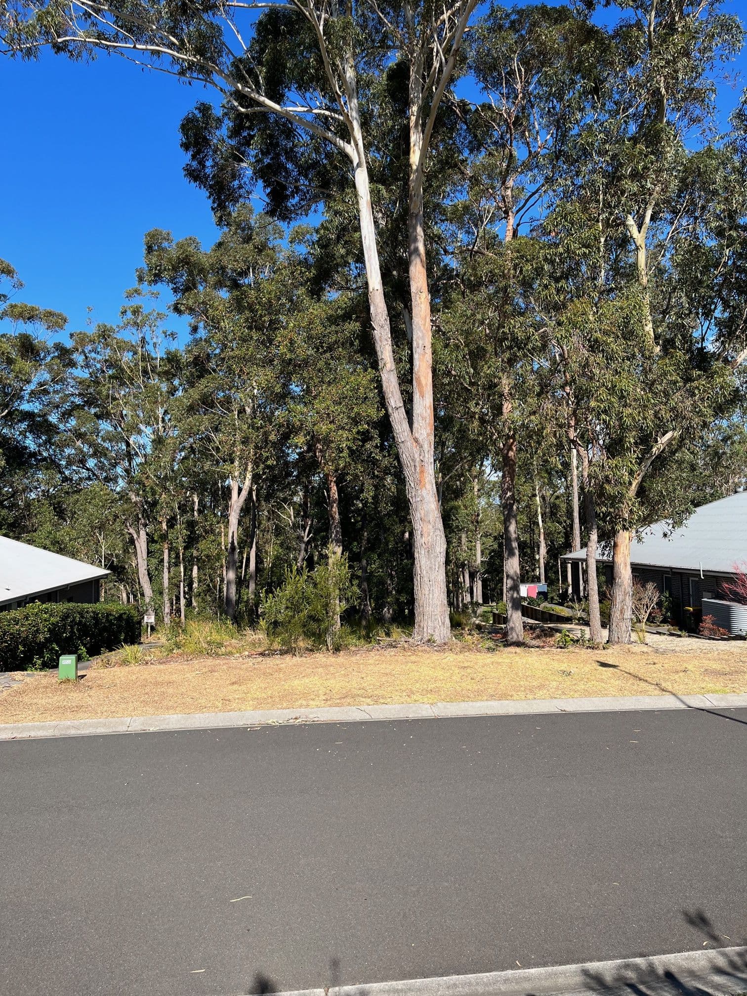 23 Yarrawonga Drive, Mollymook Beach NSW 2539, Mollymook Beach - Thumbnail 2