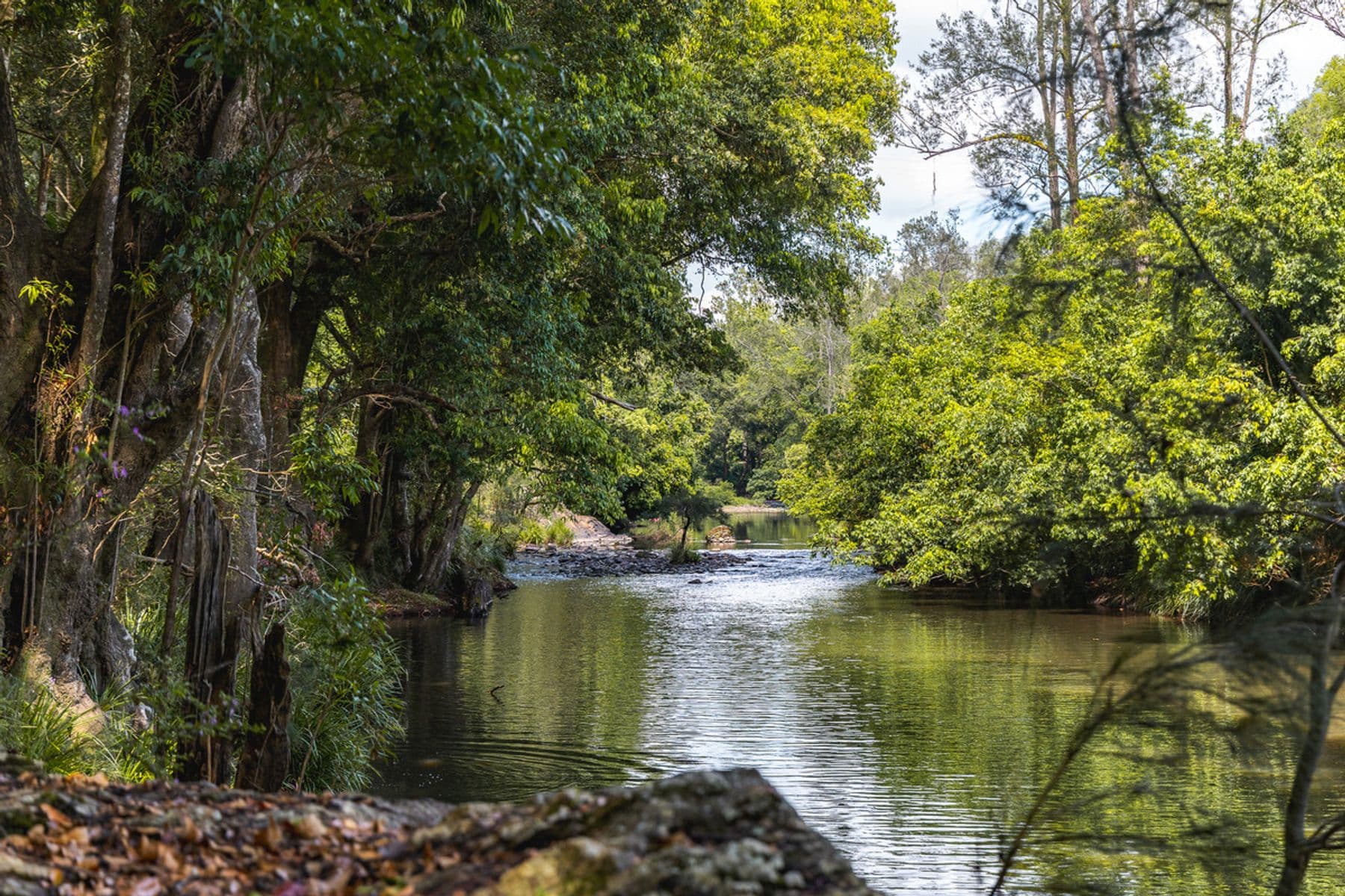 1452 Kyogle Road, Uki NSW 2484, Uki - Thumbnail 5