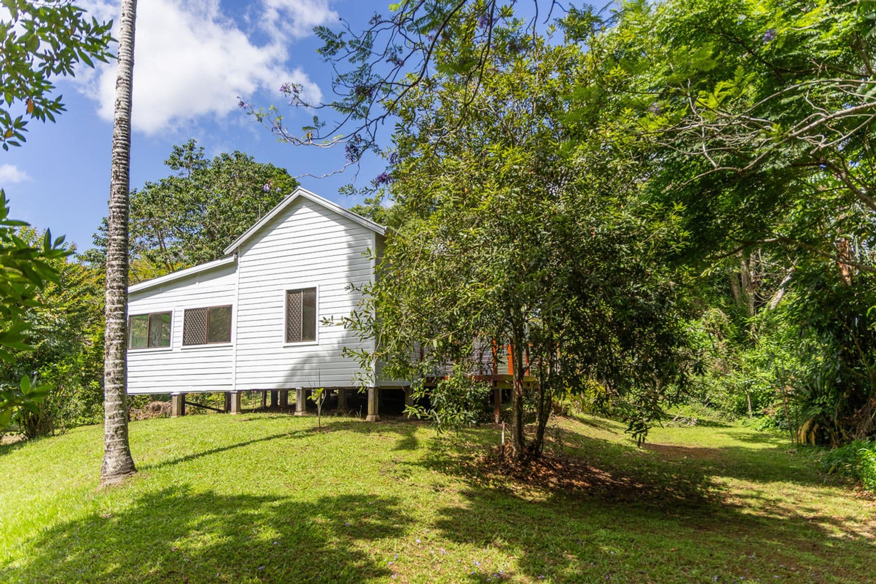 1452 Kyogle Road, Uki NSW 2484, Uki - Thumbnail 7