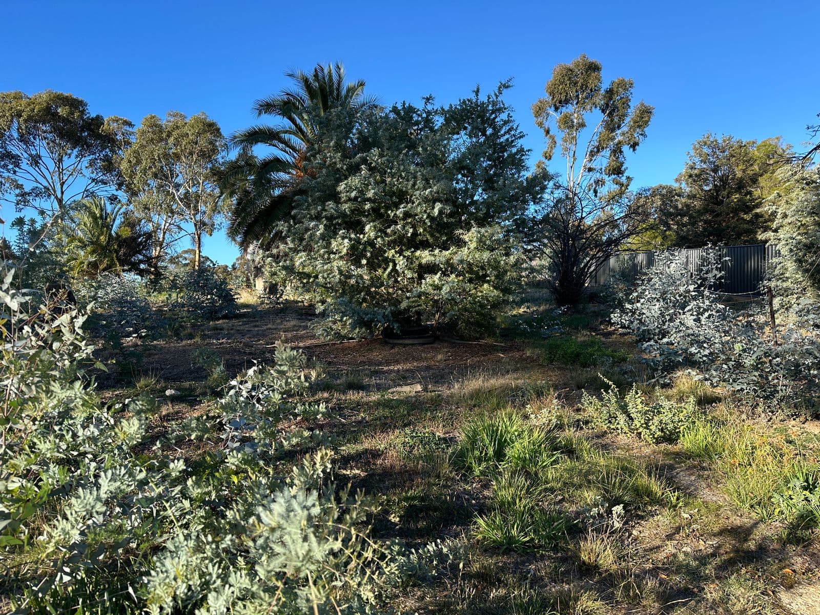 48 Boyce Street, Avoca VIC 3467, Avoca - Thumbnail 5