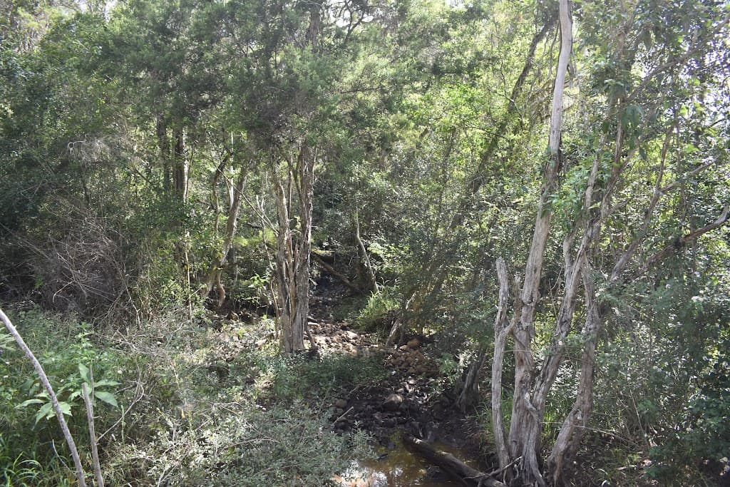 Lot 4 Teddington Road, Teddington, QLD, 4650, Teddington - Thumbnail 4