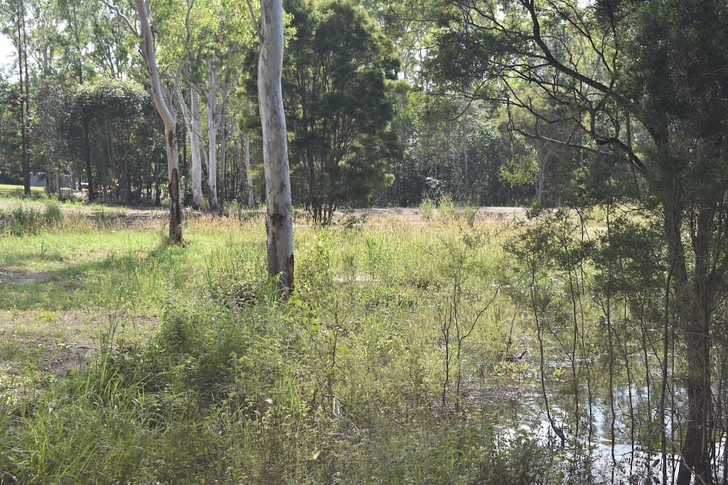Lot 4 Teddington Road, Teddington, QLD, 4650, Teddington - Thumbnail 5