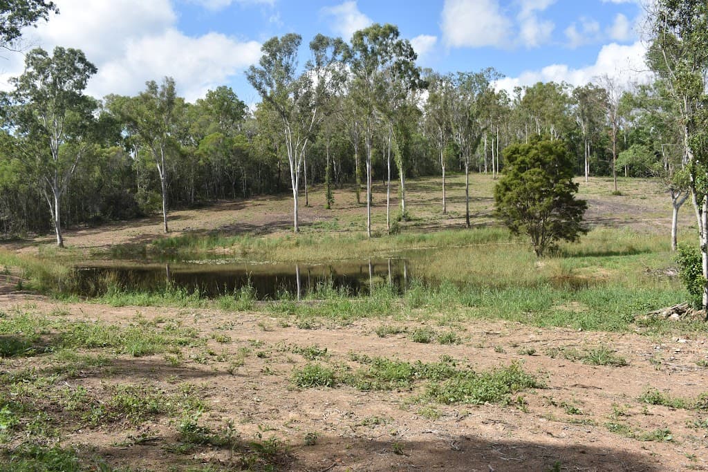 Lot 4 Teddington Road, Teddington, QLD, 4650, Teddington - Thumbnail 8