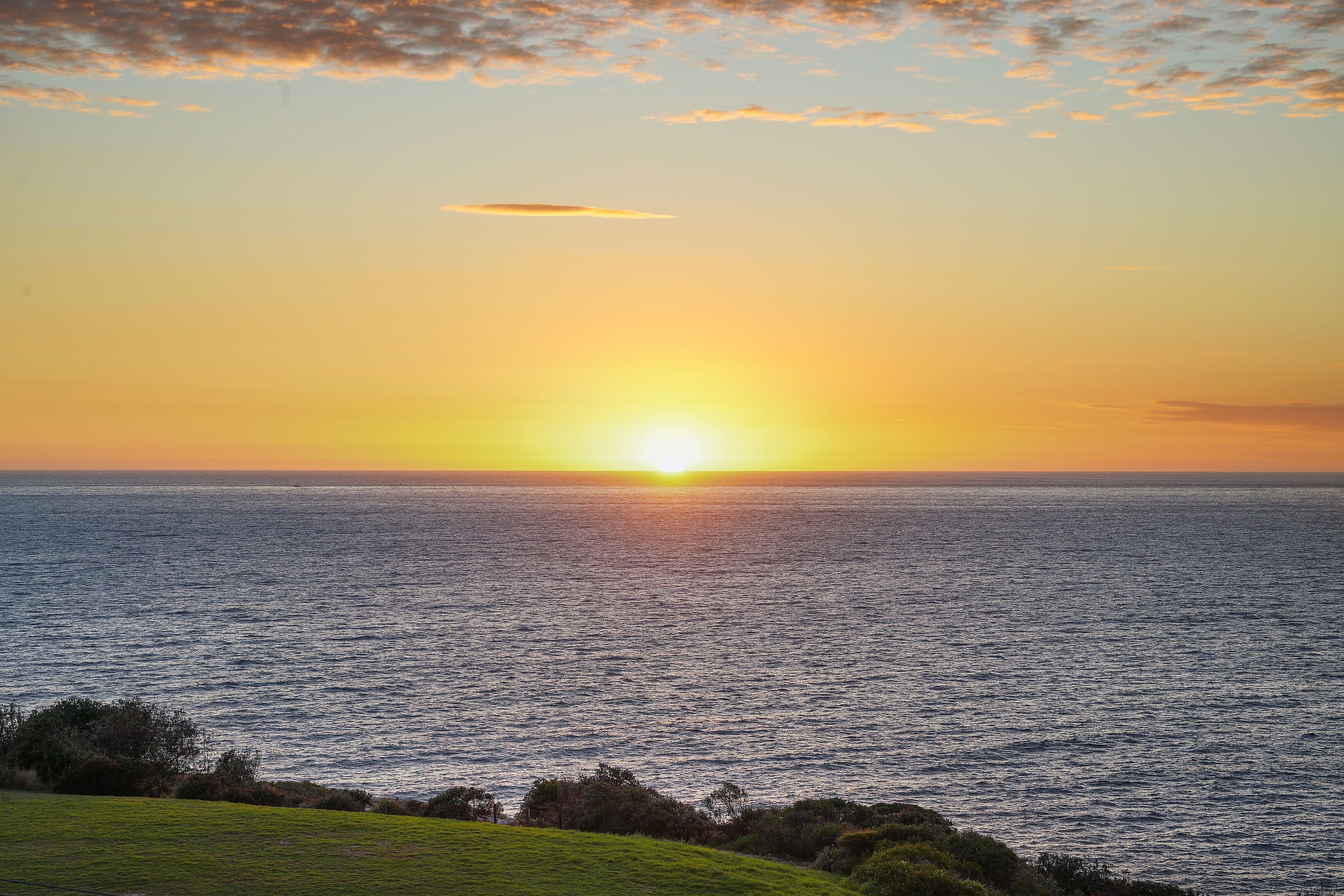 5 Craig Avenue, Vaucluse NSW 2030, Vaucluse - Thumbnail 3